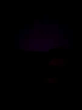 haze1233 online show from 10.29.25