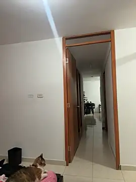 Snapshot of violeticafox chatting on 12.21.25 violeticafox online show from 12.21.25