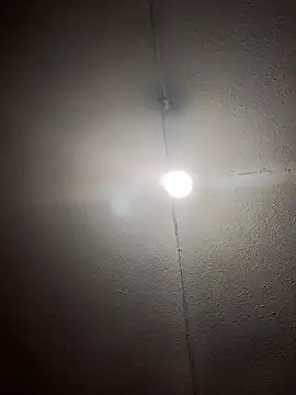 RAJV  online show from 10.14.25