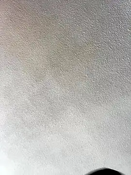 Snapshot of Ada_Pink chatting on 12.20.25 Ada Pink online show from 12.20.25