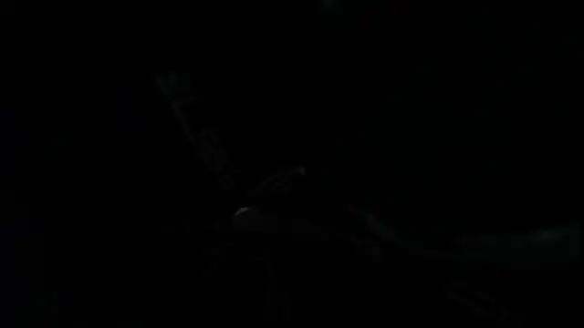 SteveDickson  online show from 10.14.25