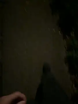 Snapshot of ncjuice_ chatting on 10.31.25 ncjuice online show from 10.31.25