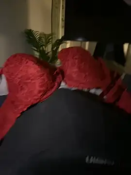 BBC 05 01 online show from 02.08.26