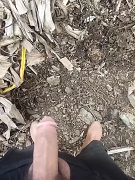 Sikici0734 online show from 02.02.26