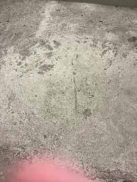 Snapshot of Lcs250 chatting on 10.20.25 Lcs250 online show from 10.20.25