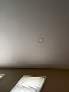 Snapshot of murphdolla chatting on 11.29.25 murphdolla online show from 11.29.25