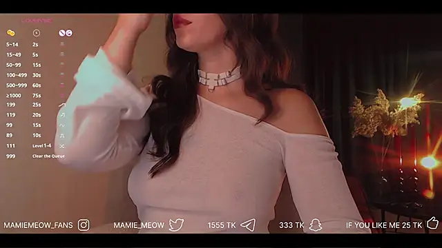 Snapshot of Mamiemeow chatting on 11.19.25 Mamiemeow online show from 11.19.25