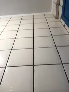 Snapshot of gatadosite chatting on 10.15.25 gatadosite online show from 10.15.25