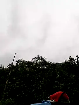 sumaybae online show from 11.17.25