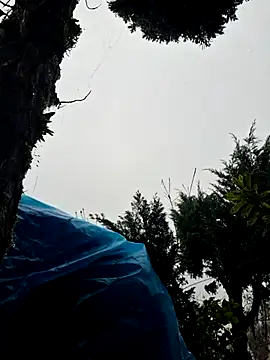 miomio-12 online show from 11.02.25