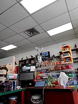 Snapshot of Cassaroll333 chatting on 11.30.25 Cassaroll333 online show from 11.30.25