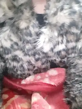 Snapshot of Mahi677 chatting on 01.08.26 Mahi677 online show from 01.08.26