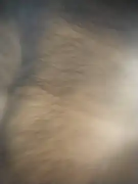 SL BEAR online show from 12.04.25