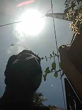 SL BEAR online show from 04.19.26