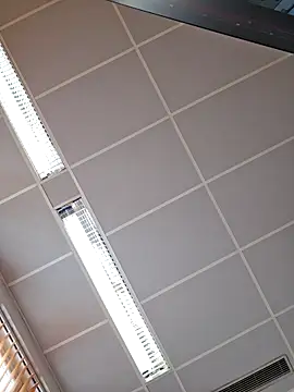 Snapshot of toyboyfin chatting on 10.10.25 toyboyfin online show from 10.10.25