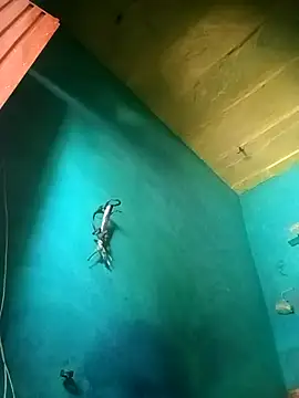 Rt shreya online show from 11.21.25