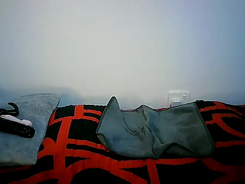 Ntokozo290 online show from 11.11.25