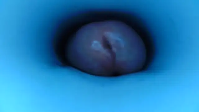 Snapshot of pedrolatino20cm chatting on 12.15.25 pedrolatino20cm online show from 12.15.25