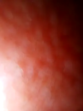 jhbswto online show from 10.30.25