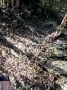 Snapshot of 228fucker chatting on 01.08.26 228fucker online show from 01.08.26