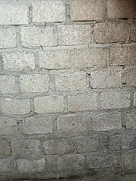 Snapshot of siusiu-00 chatting on 02.19.26 siusiu-00 online show from 02.19.26