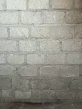 Snapshot of siusiu-00 chatting on 03.11.26 siusiu-00 online show from 03.11.26