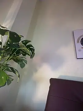 Snapshot of NovaFoxx chatting on 02.15.26 NovaFoxx online show from 02.15.26