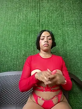 Snapshot of NovaFoxx chatting on 02.21.26 NovaFoxx online show from 02.21.26