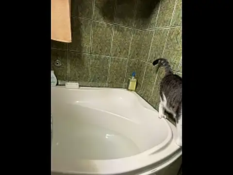 Snapshot of COBRAboySEX@xh chatting on 02.08.26 COBRAboySEXxh online show from 02.08.26