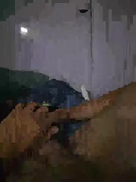 Snapshot of shainnfk chatting on 03.01.26 shainnfk online show from 03.01.26