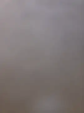 Snapshot of shainnfk chatting on 03.05.26 shainnfk online show from 03.05.26