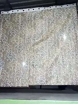 Rajni chauhan online show from 11.30.25