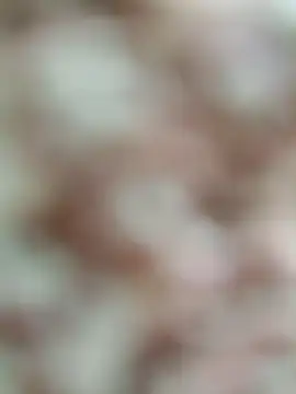 Rajni chauhan online show from 03.19.26