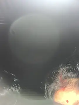 Ragni bhargav online show from 01.19.26