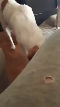 goloso80 online show from 10.22.25