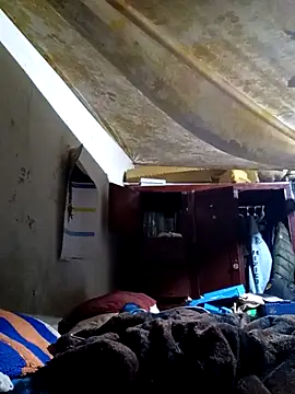 Cogelonregio online show from 02.16.26