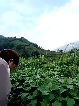 Snapshot of omai-ngot chatting on 11.15.25 omai-ngot online show from 11.15.25