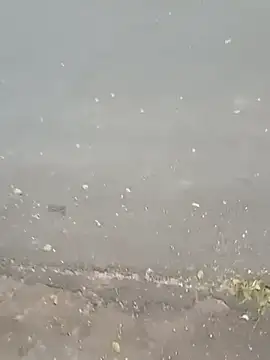 roludao fun online show from 02.23.26