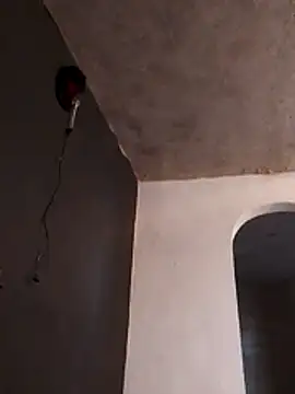 Orlao25cm online show from 11.23.25