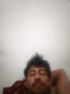 Orlao25cm online show from 03.16.26