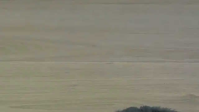 KimWilmes online show from 12.14.25