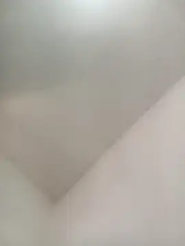 LaaySS online show from 10.28.25