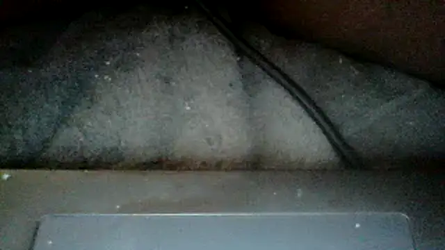 mamiandpapi6969 online show from 05.01.26