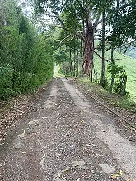 Snapshot of motomotoboy chatting on 03.05.26 motomotoboy online show from 03.05.26