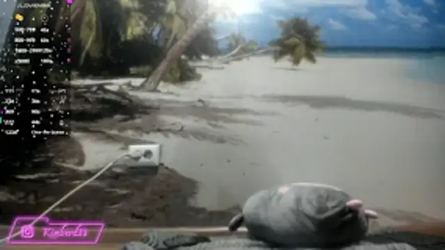 kimberd33 online show from 02.26.26