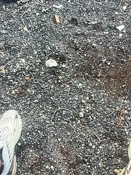 Snapshot of Rico1_1 chatting on 11.18.25 Rico1 1 online show from 11.18.25