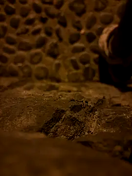 Snapshot of Rico1_1 chatting on 11.19.25 Rico1 1 online show from 11.19.25