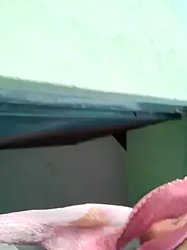 Bhumika Love online show from 11.11.25