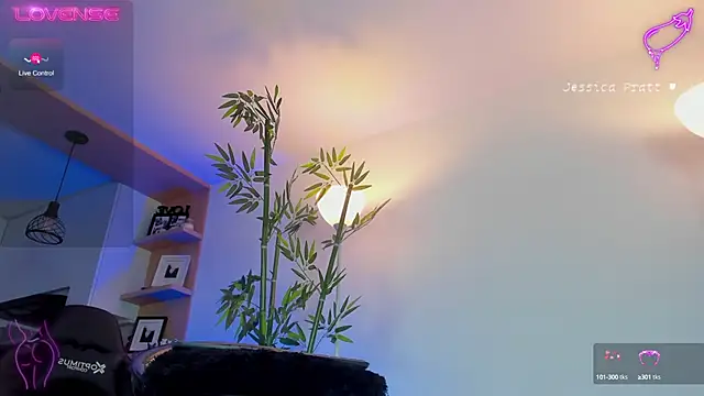 Snapshot of JessicaPratt chatting on 02.26.25 JessicaPratt online show from 02.26.25