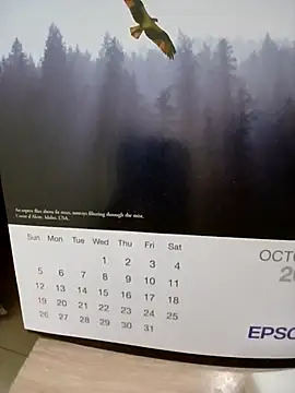 Kolkatacock06 online show from 10.24.25